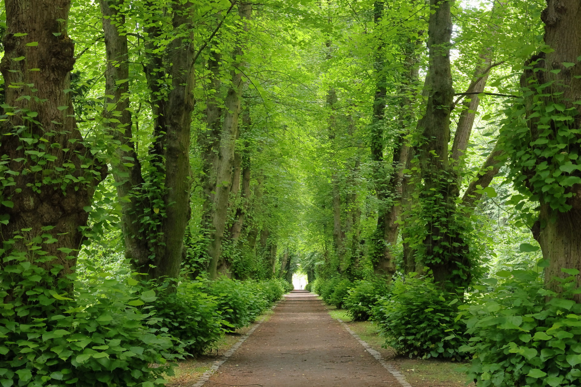 Mehr über den Artikel erfahren Der Lindenpark in Rostock